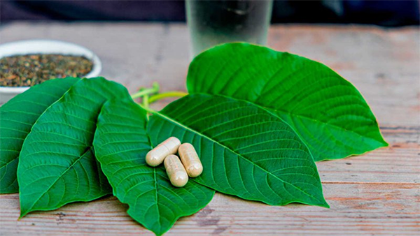 white kratom near me